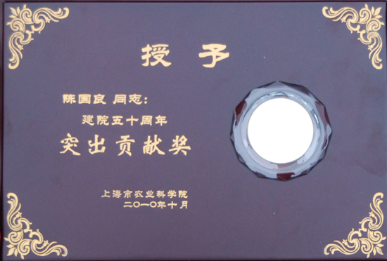 专题报道