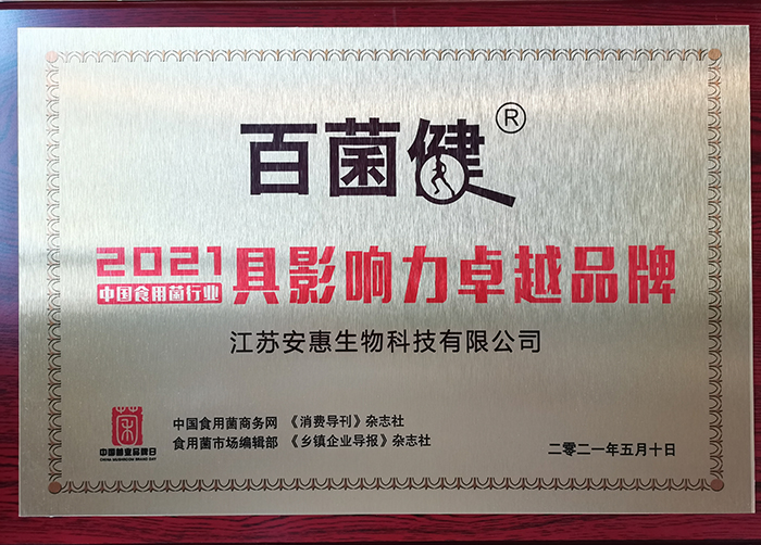 专题报道