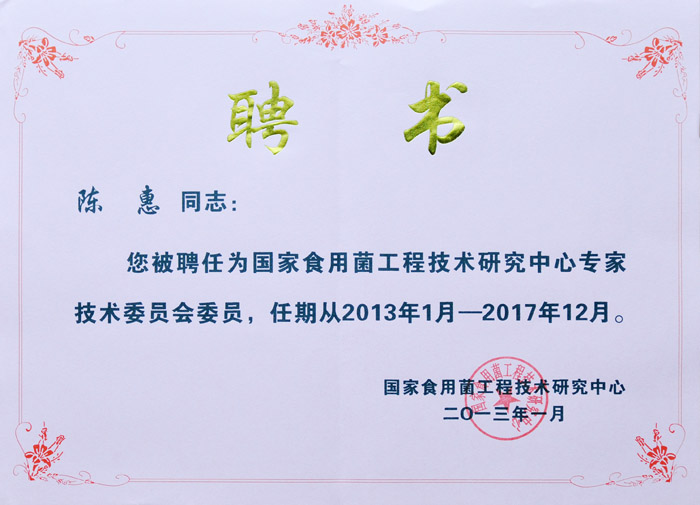 专题报道