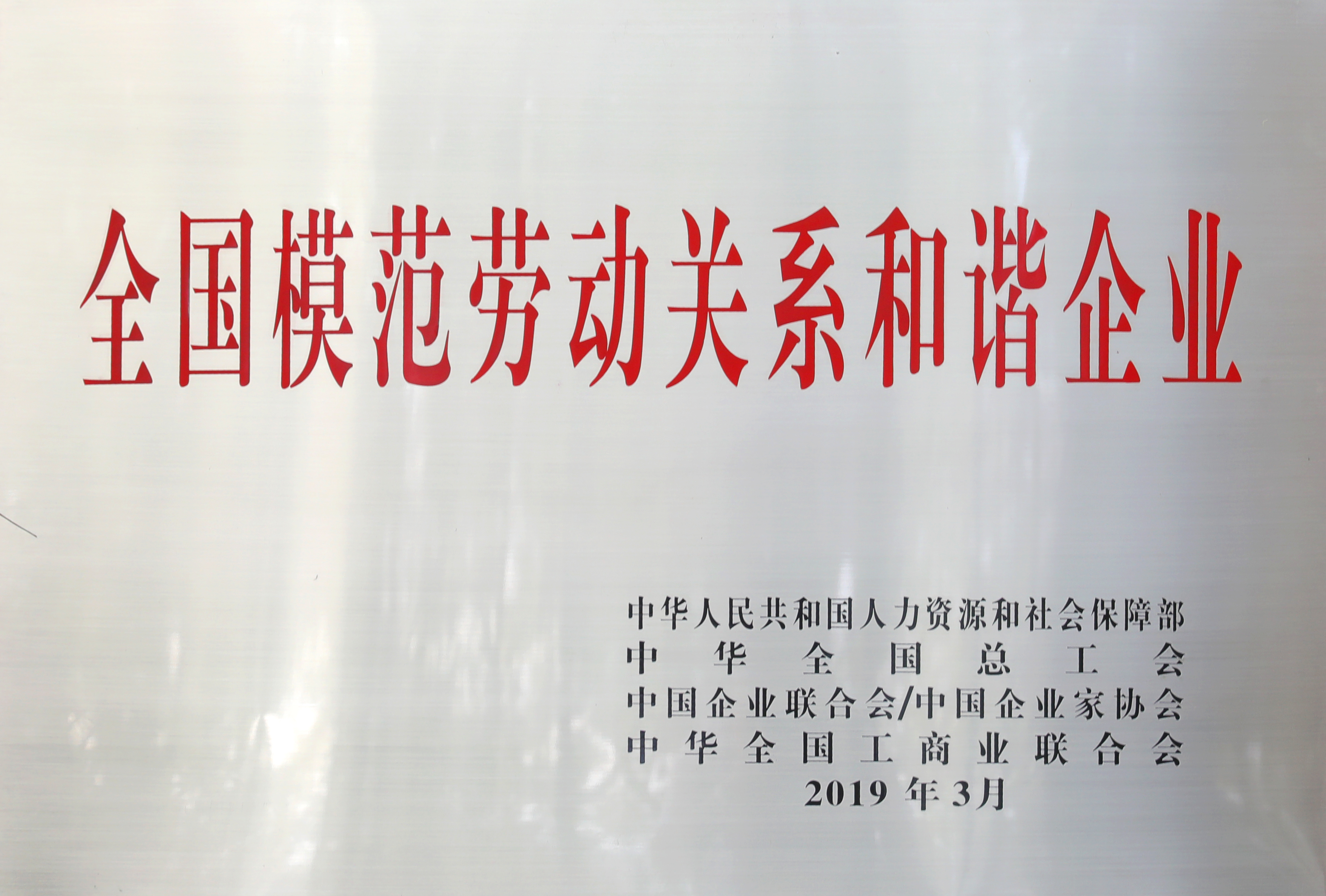 专题报道