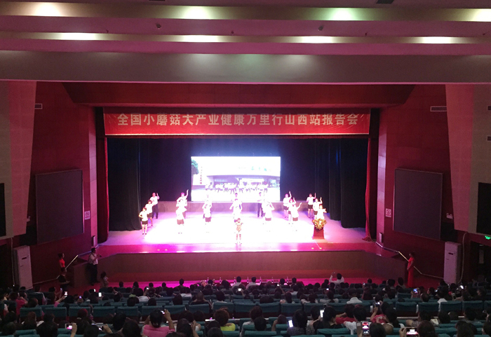 专题报道