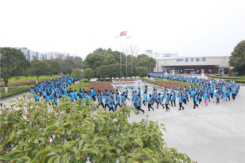 专题报道
