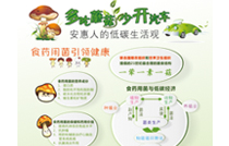 专题报道