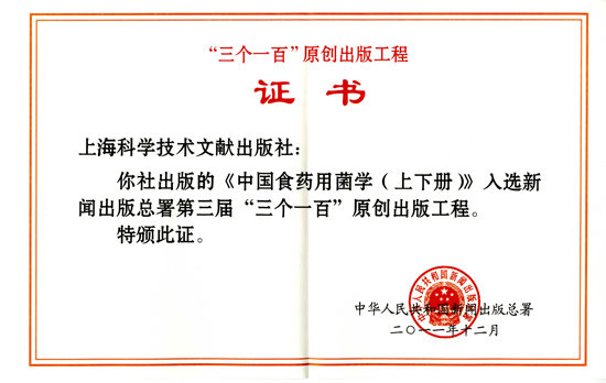 专题报道