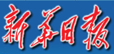 专题报道