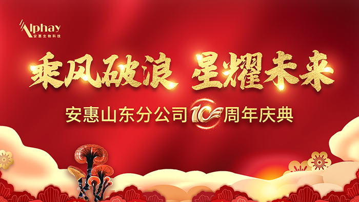 专题报道