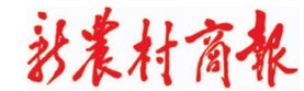 专题报道