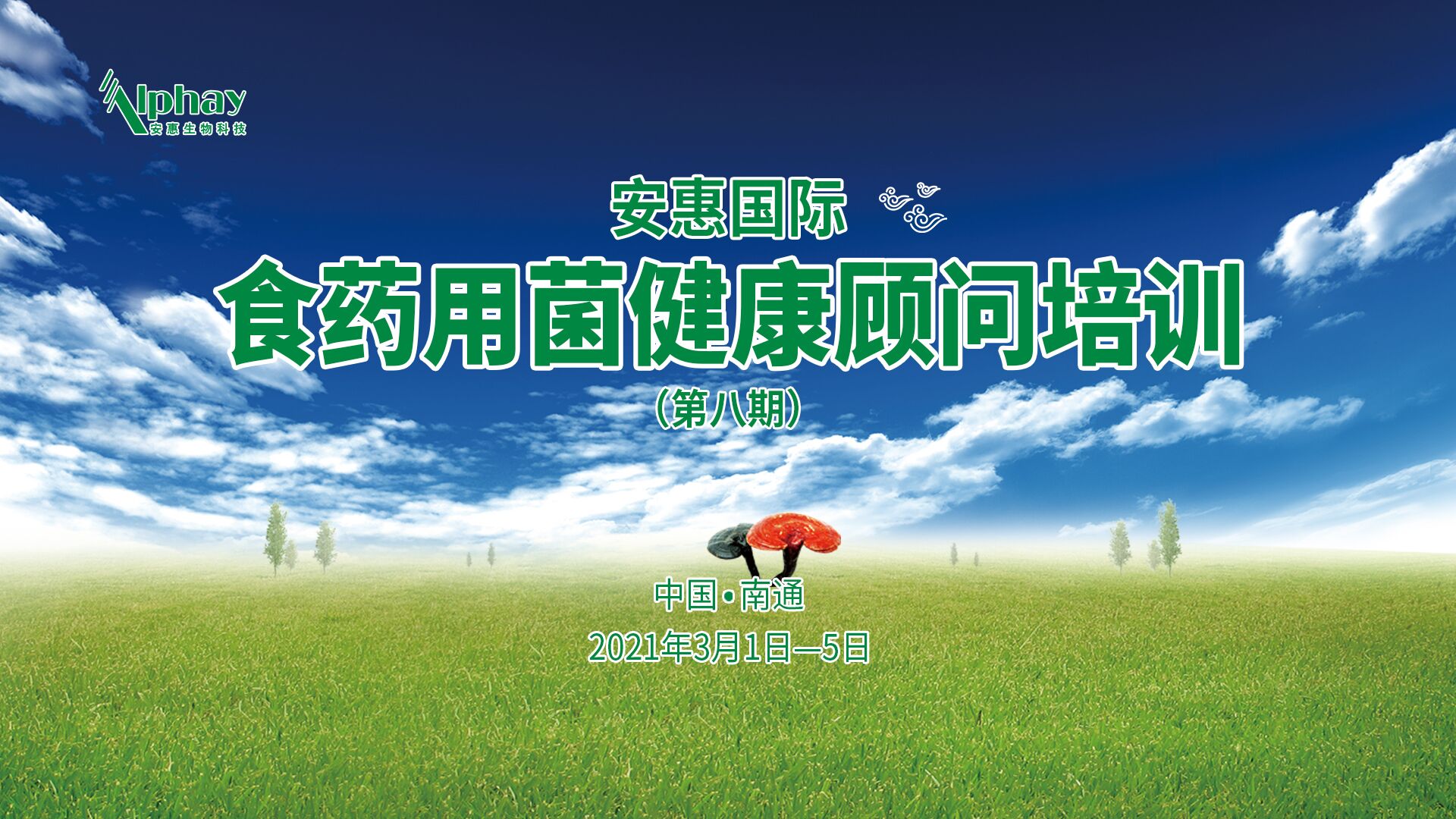 专题报道
