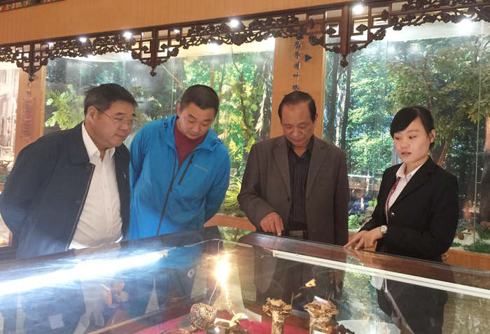 专题报道