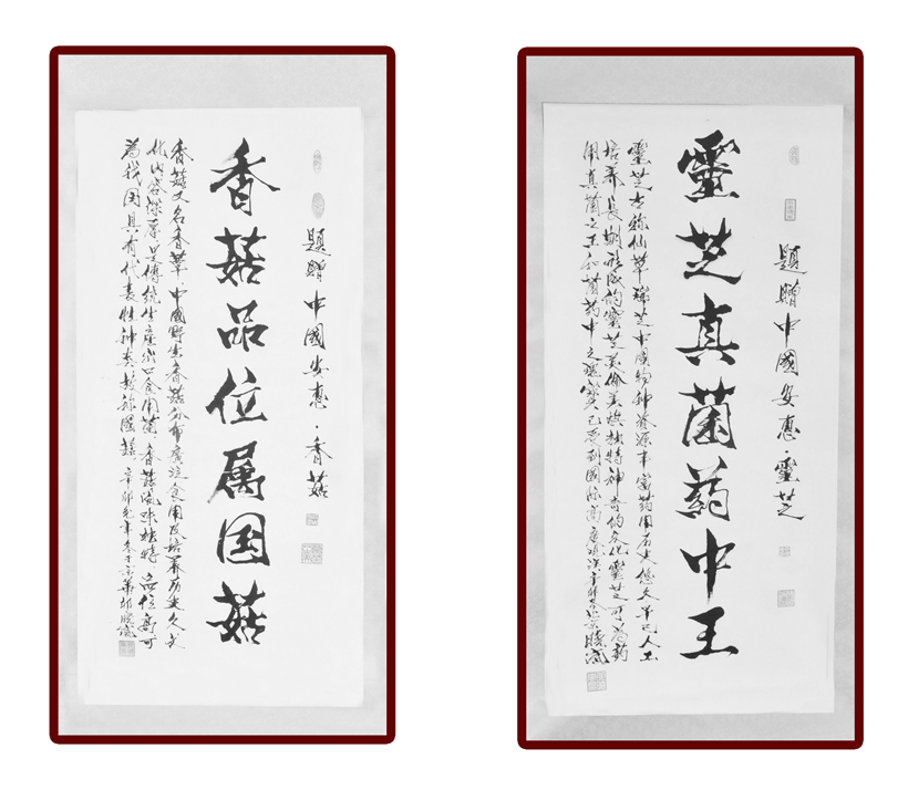 专题报道