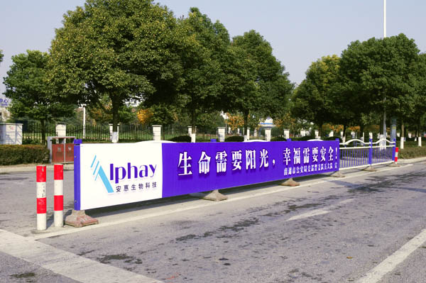 专题报道