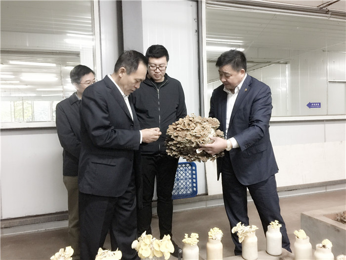 专题报道