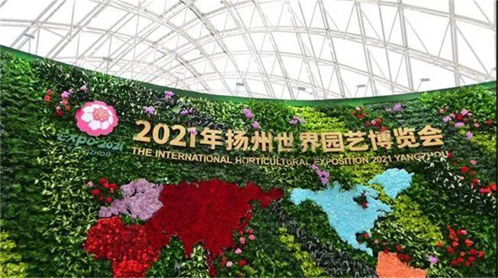 专题报道