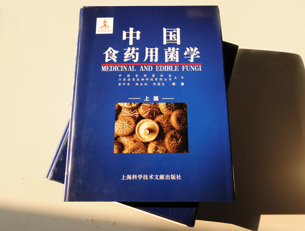 图片关键词