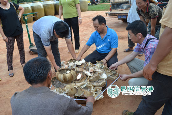 图片关键词