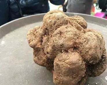 图片关键词