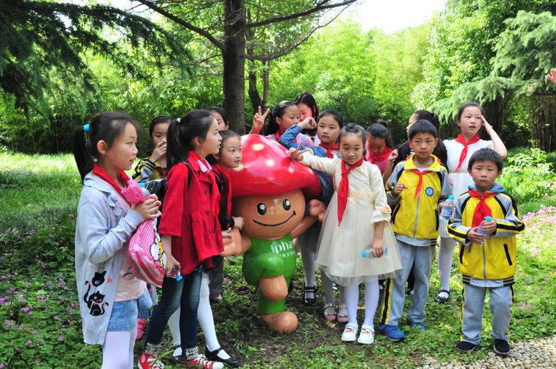 图片关键词
