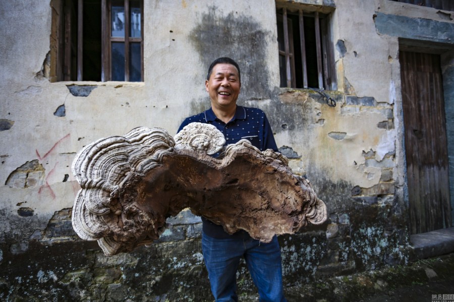 图片关键词