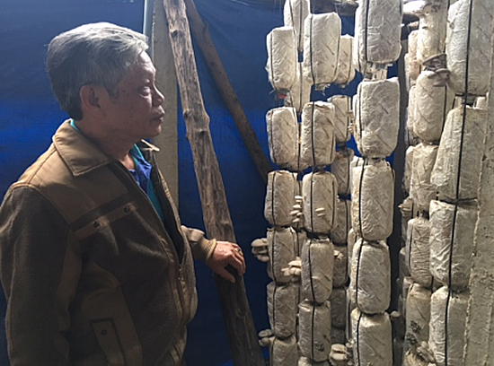 图片关键词