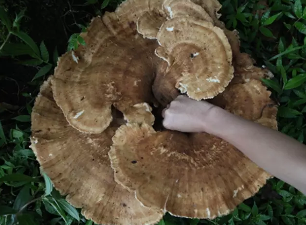 图片关键词