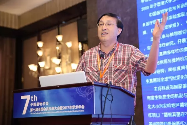 图片关键词