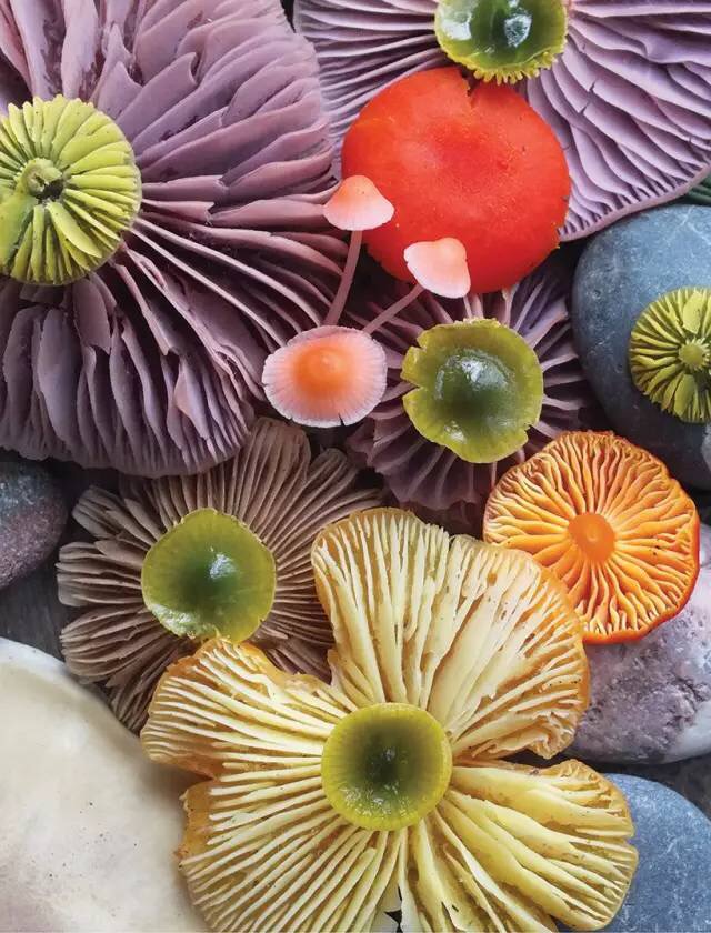图片关键词