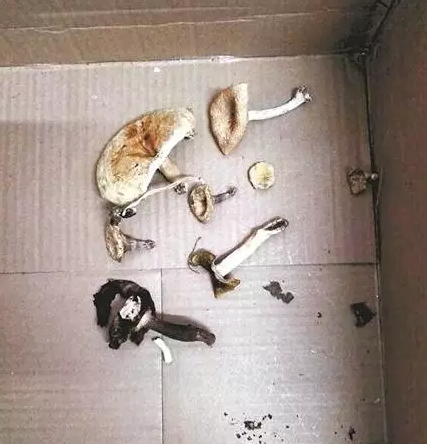 图片关键词