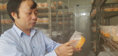 图片关键词