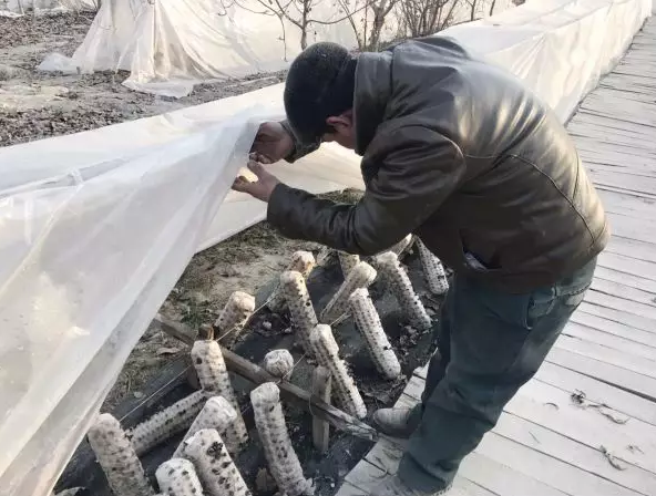 图片关键词