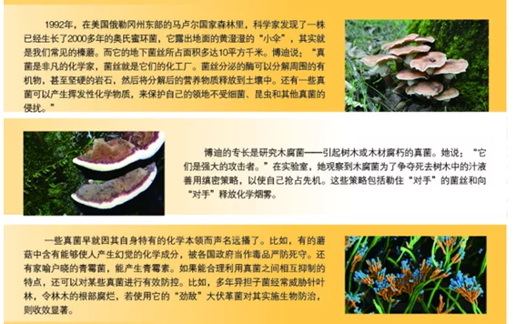 图片关键词