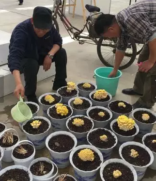 图片关键词