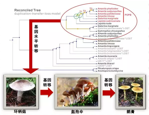 图片关键词