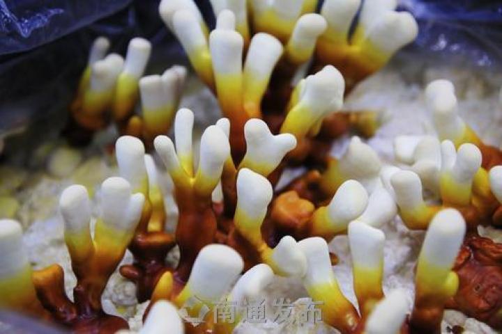 图片关键词