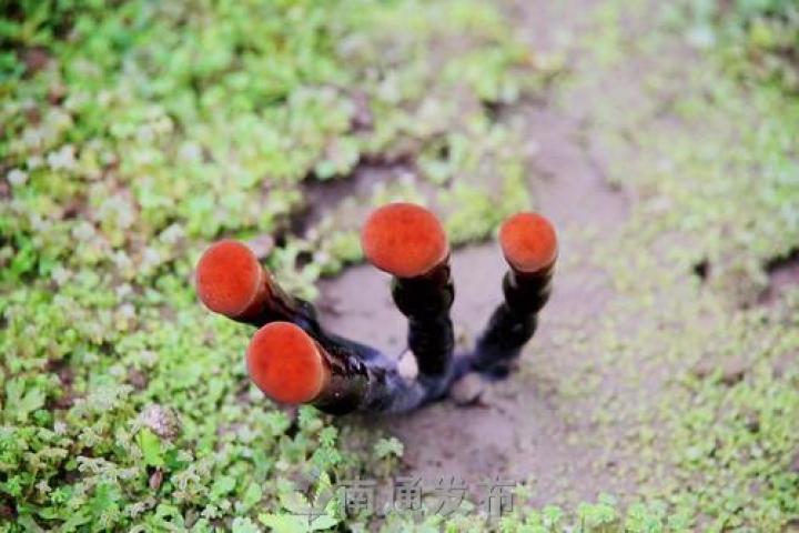 图片关键词