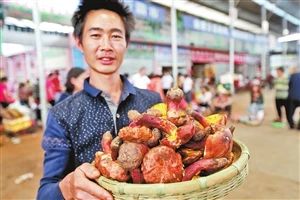 图片关键词