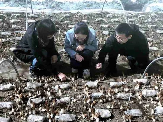 图片关键词