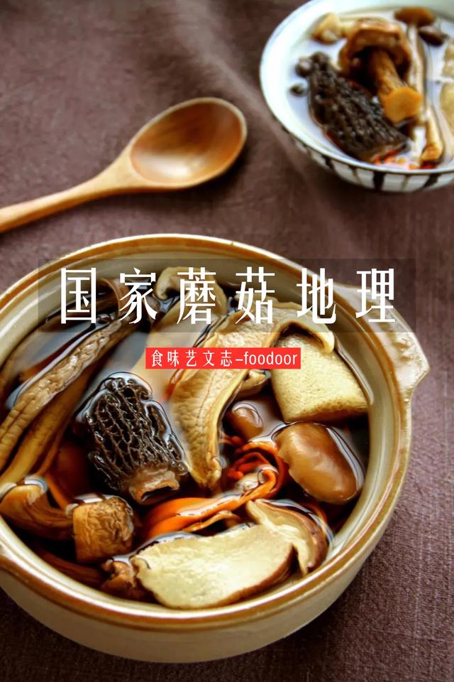 国家蘑菇地理：中国哪里的蘑菇最好吃？