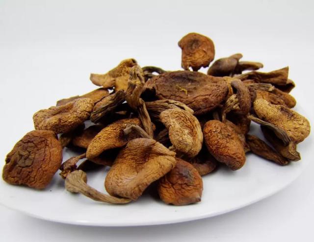 国家蘑菇地理：中国哪里的蘑菇最好吃？