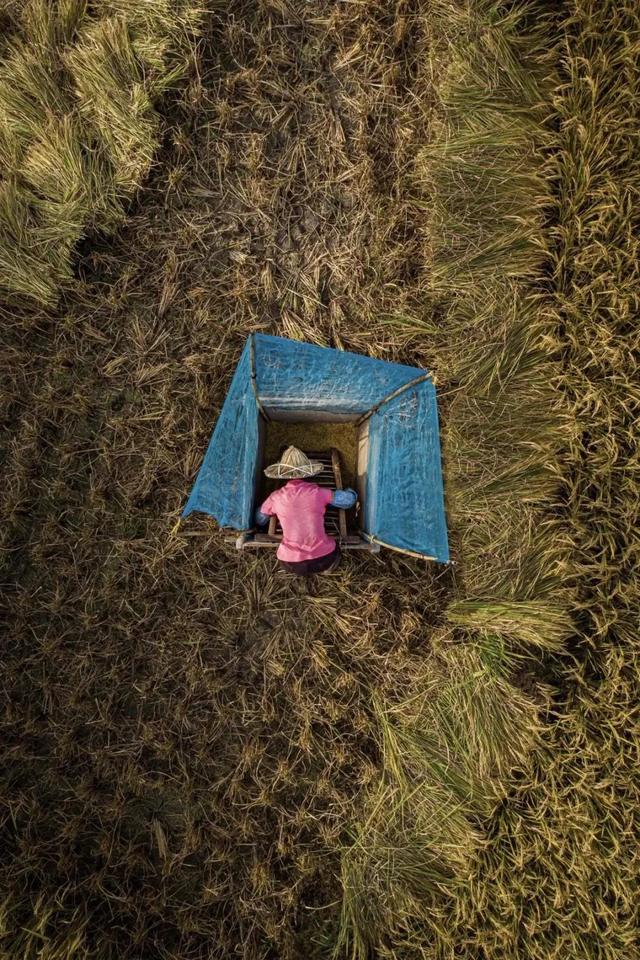 国家蘑菇地理：中国哪里的蘑菇最好吃？