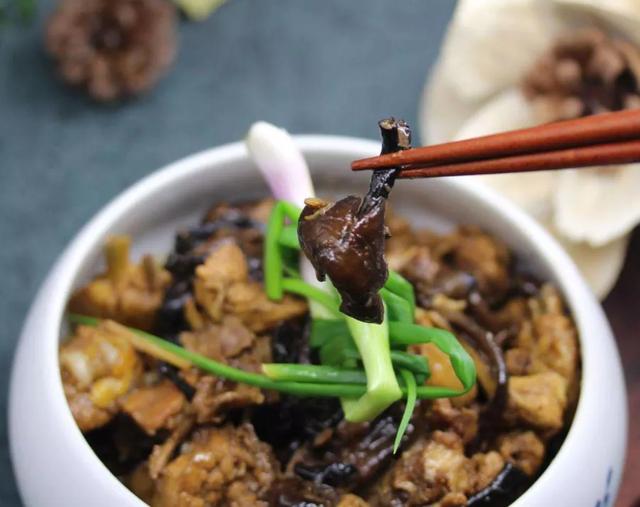 国家蘑菇地理：中国哪里的蘑菇最好吃？