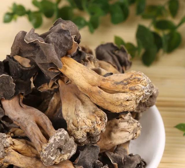 国家蘑菇地理：中国哪里的蘑菇最好吃？