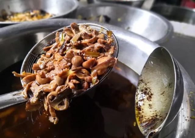 国家蘑菇地理：中国哪里的蘑菇最好吃？