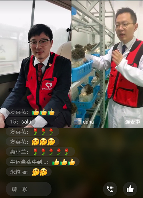 安惠公司开展爱心“双百”暨菌物健康科普走进美丽乡村志愿服务活动插图9 安惠公司开展爱心“双百”暨菌物健康科普走进美丽乡村志愿服务活动插图9
