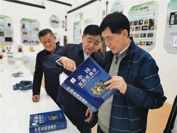 图片关键词