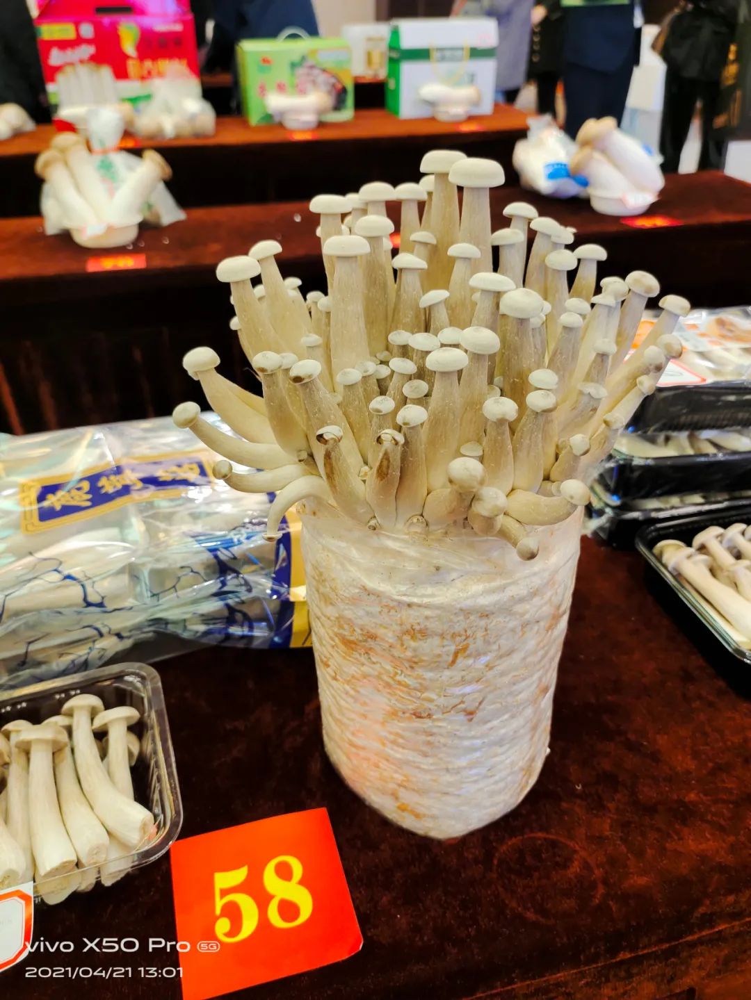 图片关键词 图片