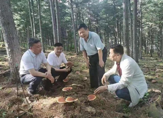 图片关键词