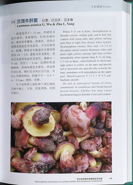 图片关键词