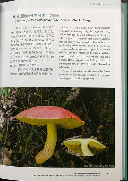 图片关键词