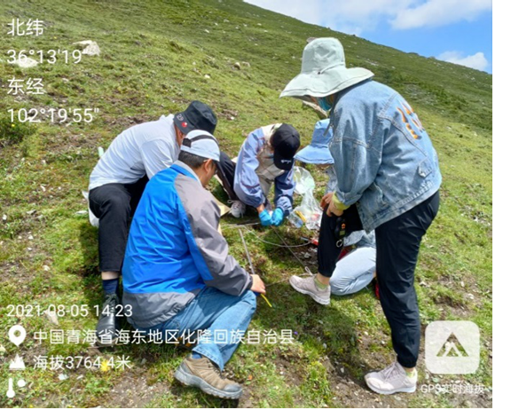 图片关键词