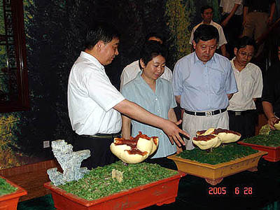 图片关键词